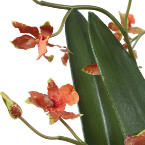 Dancing Orchid - modern accessories for a personalized living space | Image 5 | InSTYLE Home & Rugs