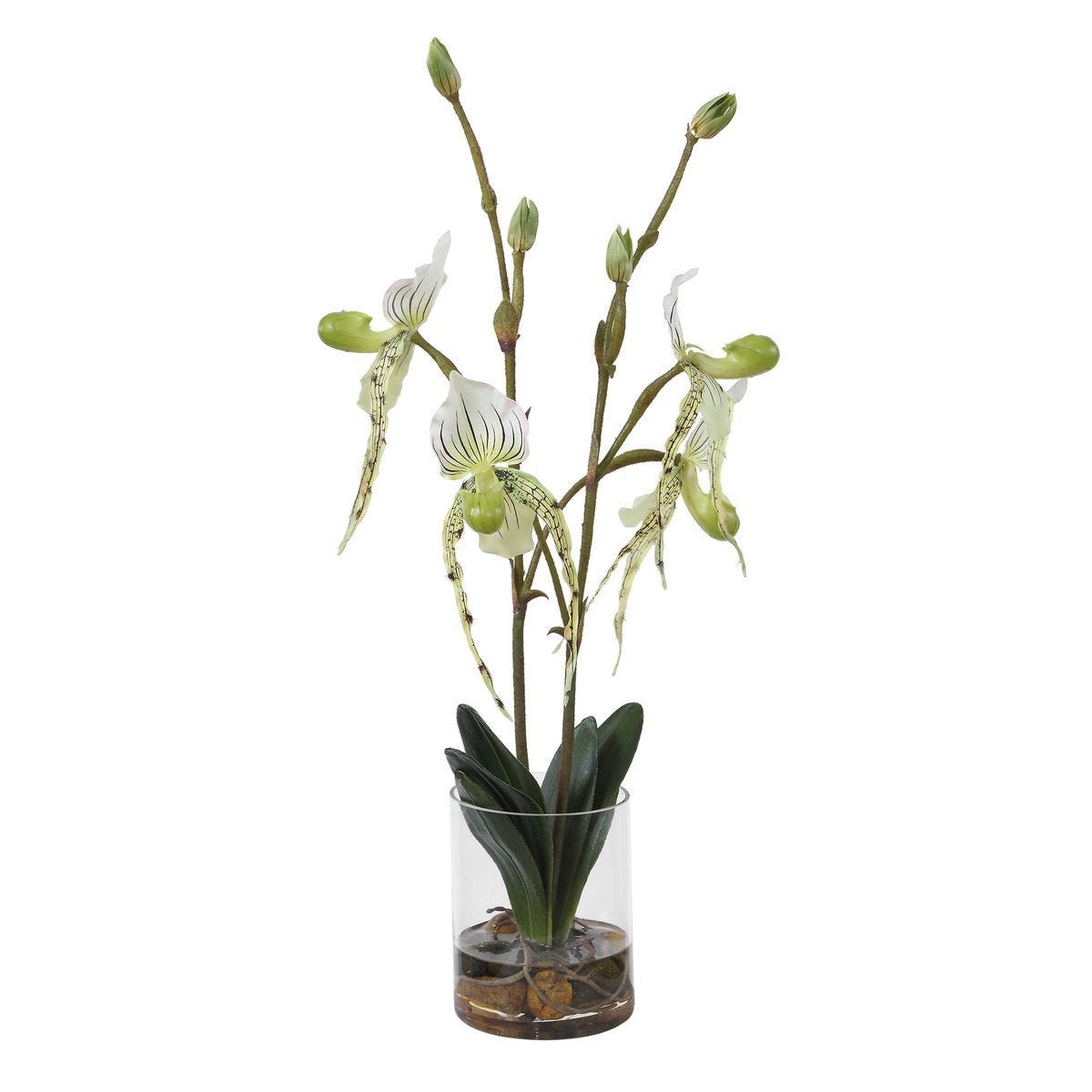 Lady Slipper Orchid - modern accessories for a personalized living space | Image 4 | InSTYLE Home & Rugs