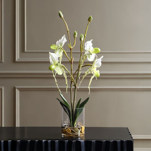 Lady Slipper Orchid - modern accessories for a personalized living space | Image 1 | InSTYLE Home & Rugs