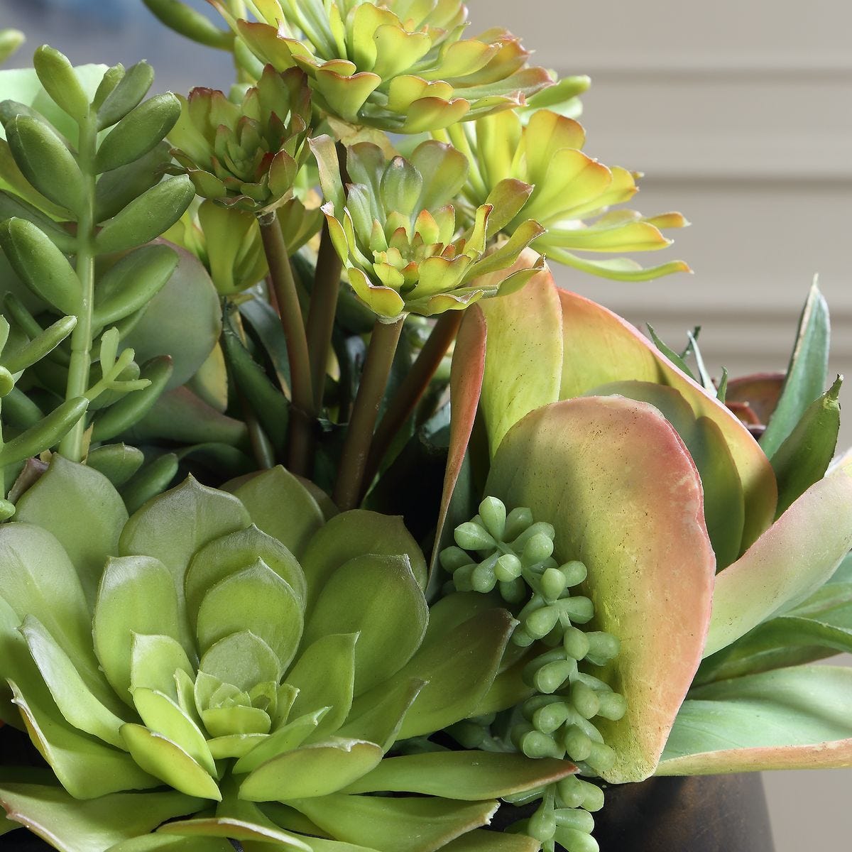 Mico Indoor-Outdoor Succulent Centerpiece - modern accessories for a personalized living space | Image 4 | InSTYLE Home & Rugs