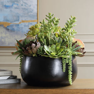 Mico Indoor-Outdoor Succulent Centerpiece - modern accessories for a personalized living space | Image 1 | InSTYLE Home & Rugs