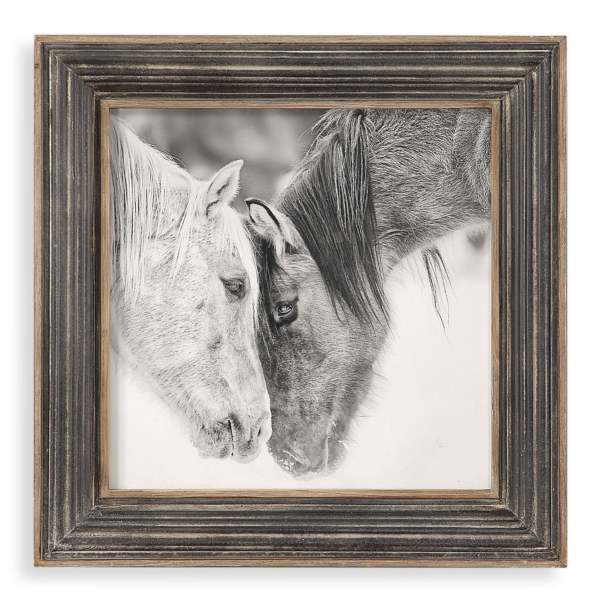 Custom Black and White Horses Framed Print - timeless artwork that brings character to any space | Image 1 | InSTYLE Home & Rugs