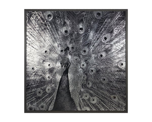 Courtship - add personality and flair to your walls with stunning art | Image 1 | InSTYLE Home & Rugs