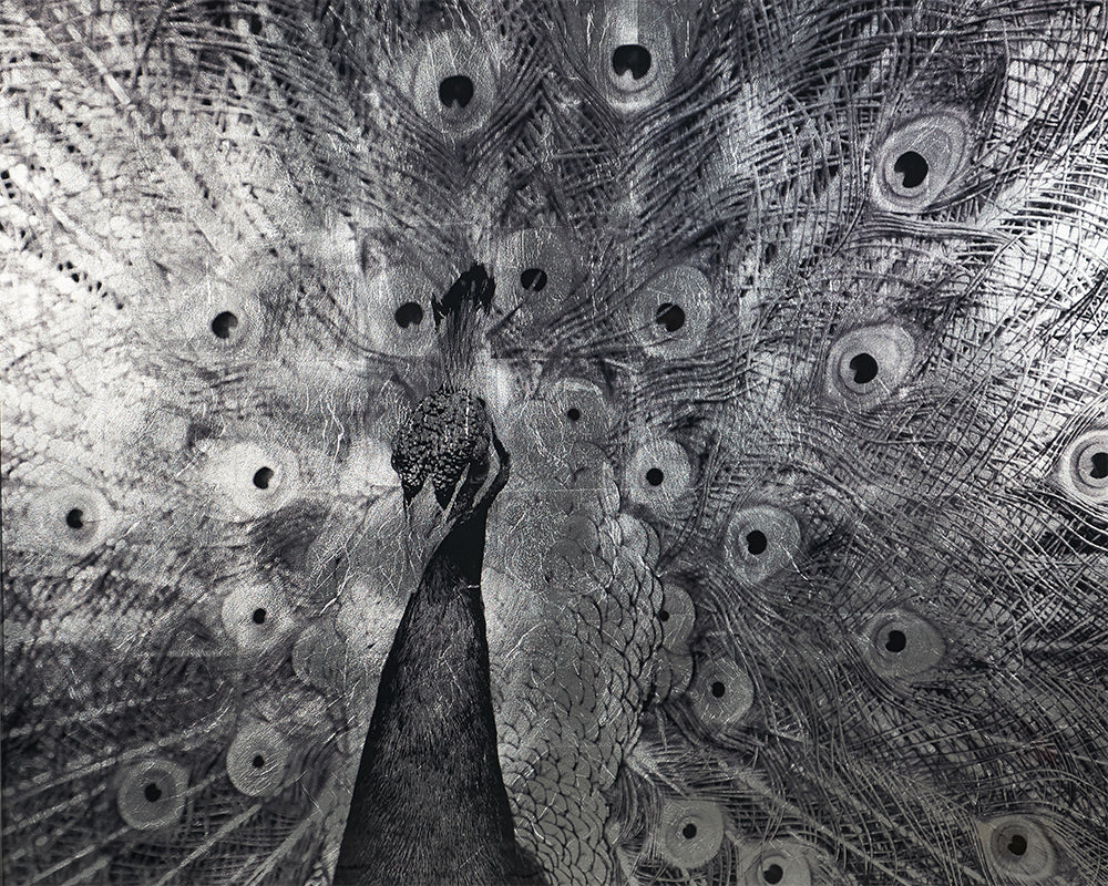 Courtship - add personality and flair to your walls with stunning art | Image 4 | InSTYLE Home & Rugs