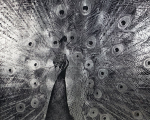 Courtship - add personality and flair to your walls with stunning art | Image 4 | InSTYLE Home & Rugs