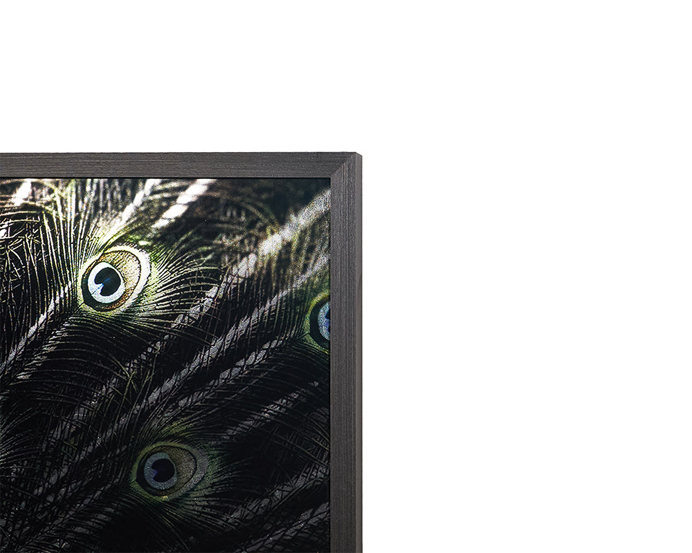 Brilliant Plumage - choose from a variety of prints, paintings, and photography | Image 4 | InSTYLE Home & Rugs