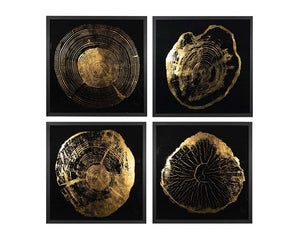 Time Lines (Set Of 4) - choose from a variety of prints, paintings, and photography | Image 17 | InSTYLE Home & Rugs