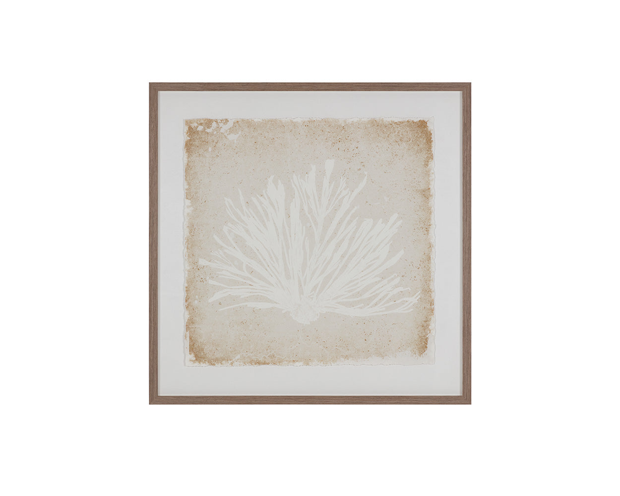 Aquatic Flora I - add personality and flair to your walls with stunning art | Image 3 | InSTYLE Home & Rugs