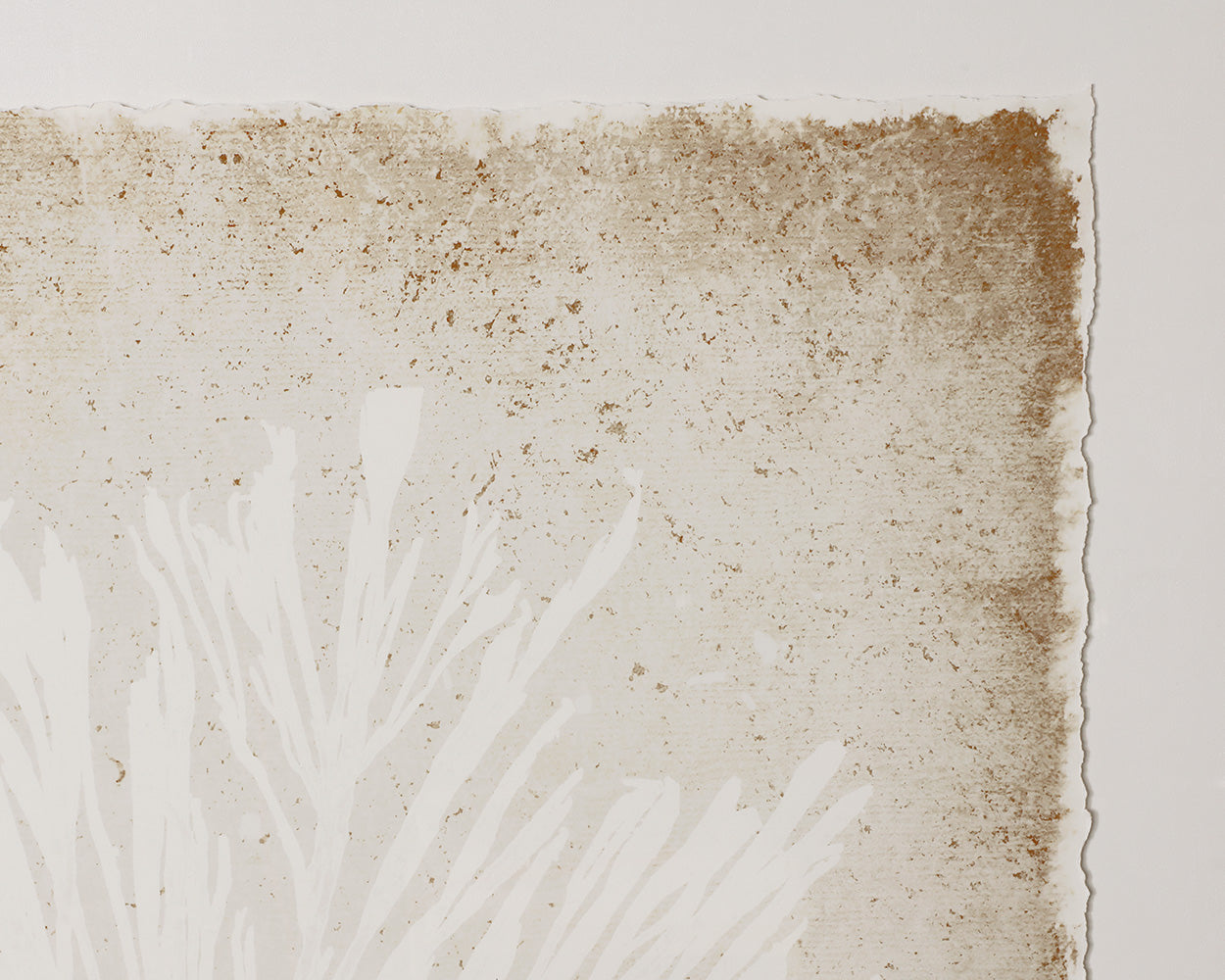 Aquatic Flora I - add personality and flair to your walls with stunning art | Image 5 | InSTYLE Home & Rugs