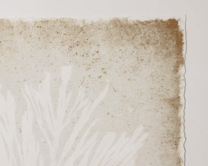 Aquatic Flora I - add personality and flair to your walls with stunning art | Image 5 | InSTYLE Home & Rugs