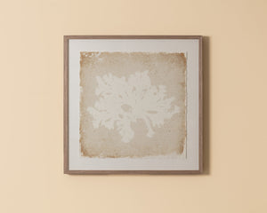Aquatic Flora II - perfect for living rooms, bedrooms, and offices | Image 1 | InSTYLE Home & Rugs