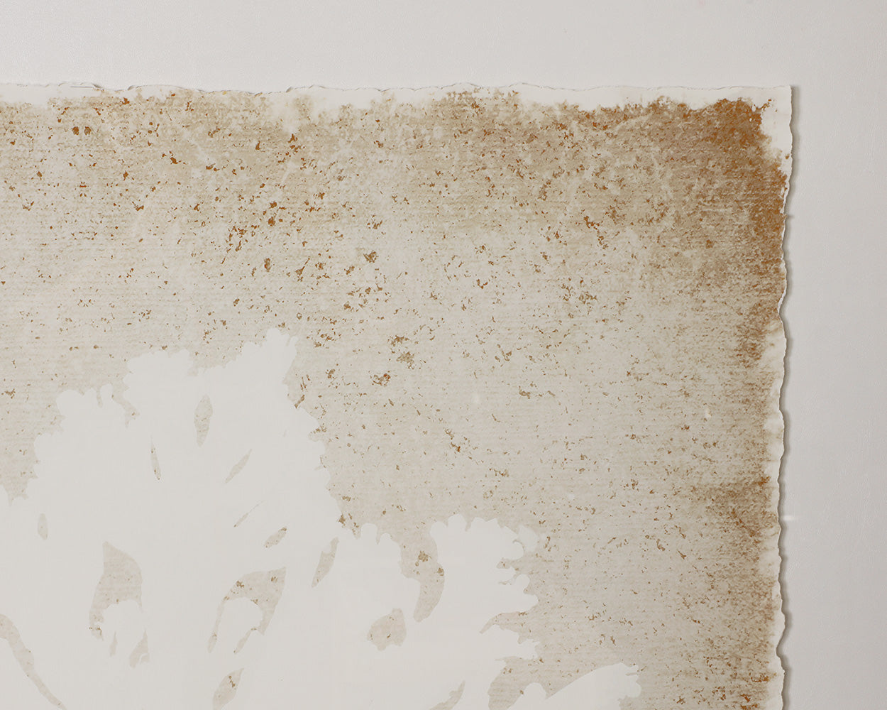 Aquatic Flora II - perfect for living rooms, bedrooms, and offices | Image 5 | InSTYLE Home & Rugs