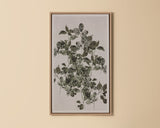Botanical Study I - perfect for living rooms, bedrooms, and offices | Image 1 | InSTYLE Home & Rugs