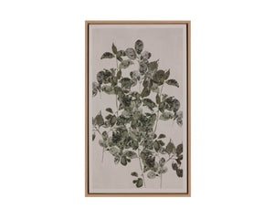 Botanical Study I - add personality and flair to your walls with stunning art | Image 7 | InSTYLE Home & Rugs
