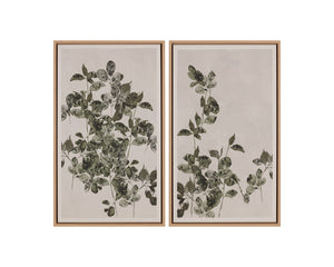 Botanical Study I - add personality and flair to your walls with stunning art | Image 9 | InSTYLE Home & Rugs