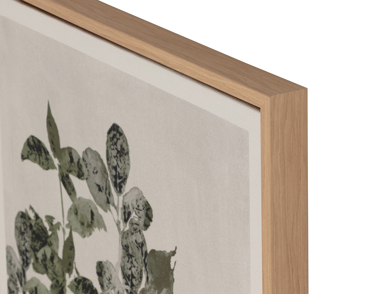 Botanical Study I - perfect for living rooms, bedrooms, and offices | Image 4 | InSTYLE Home & Rugs