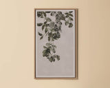 Botanical Study II - add personality and flair to your walls with stunning art | Image 13 | InSTYLE Home & Rugs