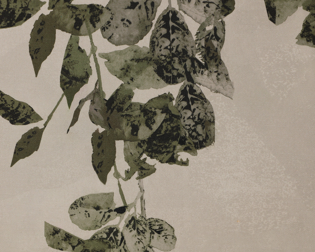Botanical Study II - perfect for living rooms, bedrooms, and offices | Image 5 | InSTYLE Home & Rugs