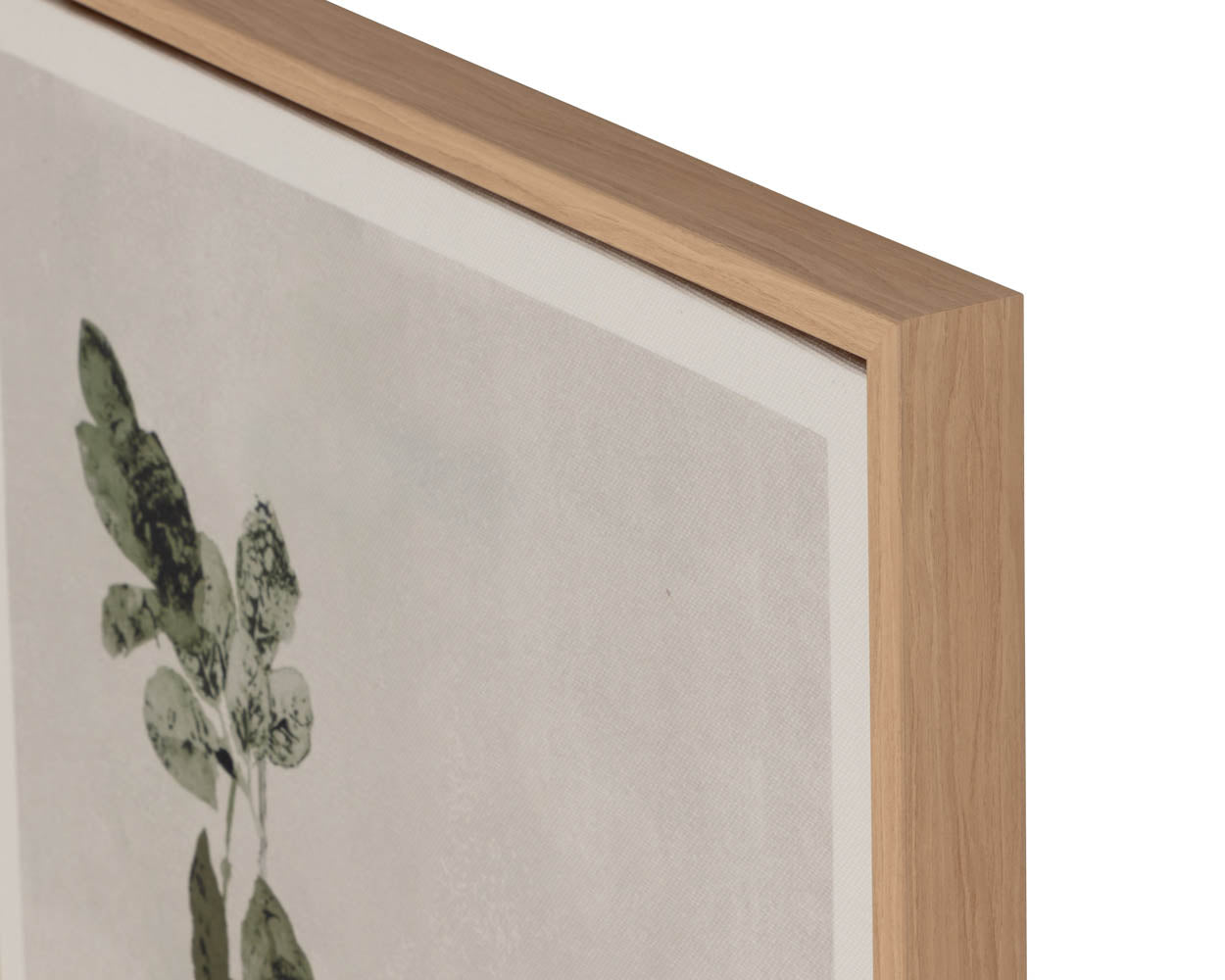 Botanical Study III - perfect for living rooms, bedrooms, and offices | Image 11 | InSTYLE Home & Rugs