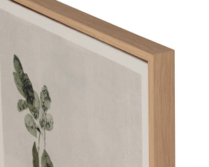 Botanical Study III - choose from a variety of prints, paintings, and photography | Image 11 | InSTYLE Home & Rugs