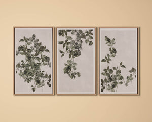 Botanical Study III - perfect for living rooms, bedrooms, and offices | Image 5 | InSTYLE Home & Rugs