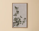 Botanical Study III - choose from a variety of prints, paintings, and photography | Image 1 | InSTYLE Home & Rugs