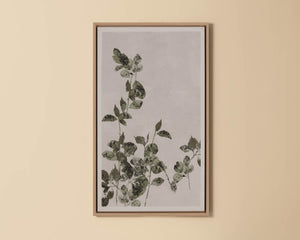 Botanical Study III - perfect for living rooms, bedrooms, and offices | Image 2 | InSTYLE Home & Rugs