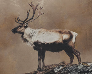 Into The Wild I - perfect for living rooms, bedrooms, and offices | Image 5 | InSTYLE Home & Rugs