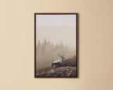 Into The Wild II - choose from a variety of prints, paintings, and photography | Image 1 | InSTYLE Home & Rugs
