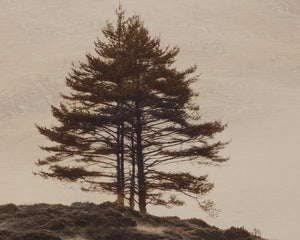 Together Alone II - perfect for living rooms, bedrooms, and offices | Image 5 | InSTYLE Home & Rugs