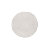 Sand Dollar Wall Décor — Indoor/Outdoor Resin Accent - coastal sand dollar wall décor in durable resin | Image 1 | InSTYLE Home & Rugs