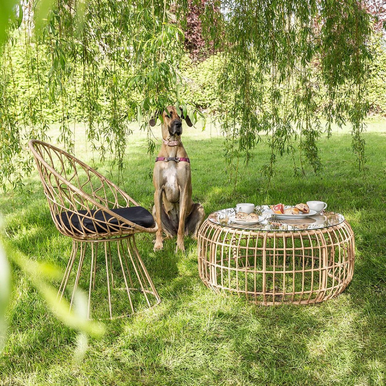 Calabria Coffee Table - stylish tables for living rooms | Image 4 | InSTYLE Home & Rugs