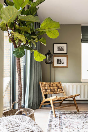 D-Bodhi Caterpillar Beetle Chair - durable construction for long-lasting use | Image 2 | InSTYLE Home & Rugs