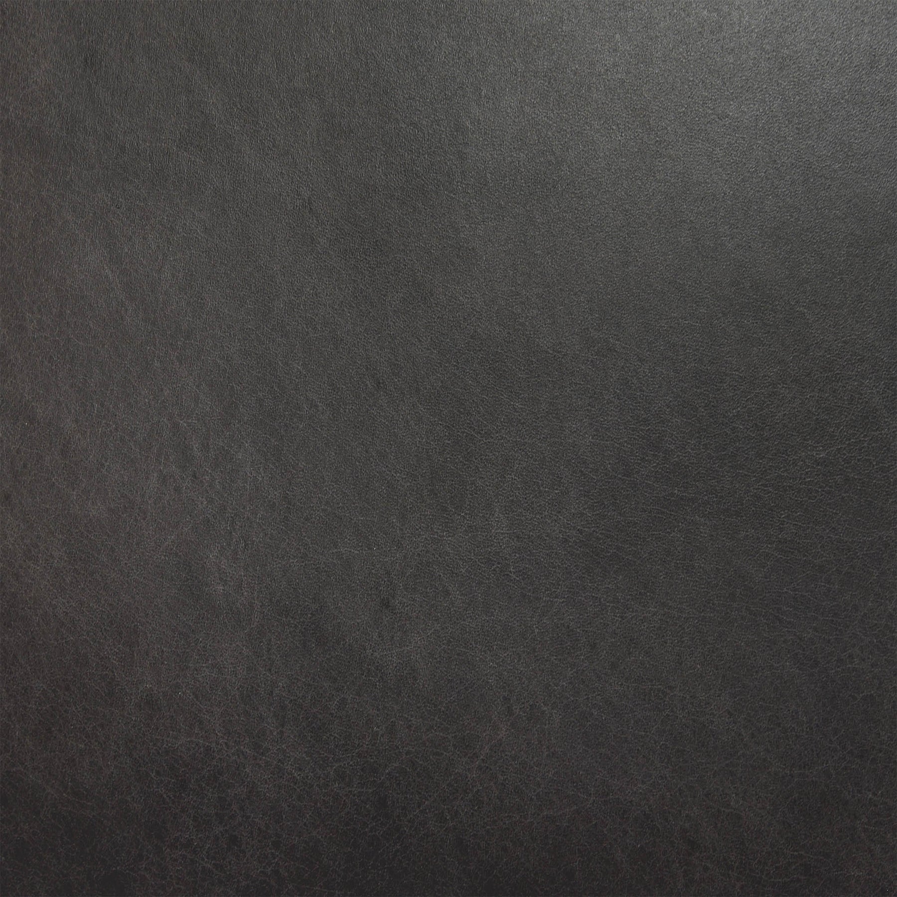 Dakota Dining Chair - elegant seating for dining areas | Image 11 | InSTYLE Home & Rugs