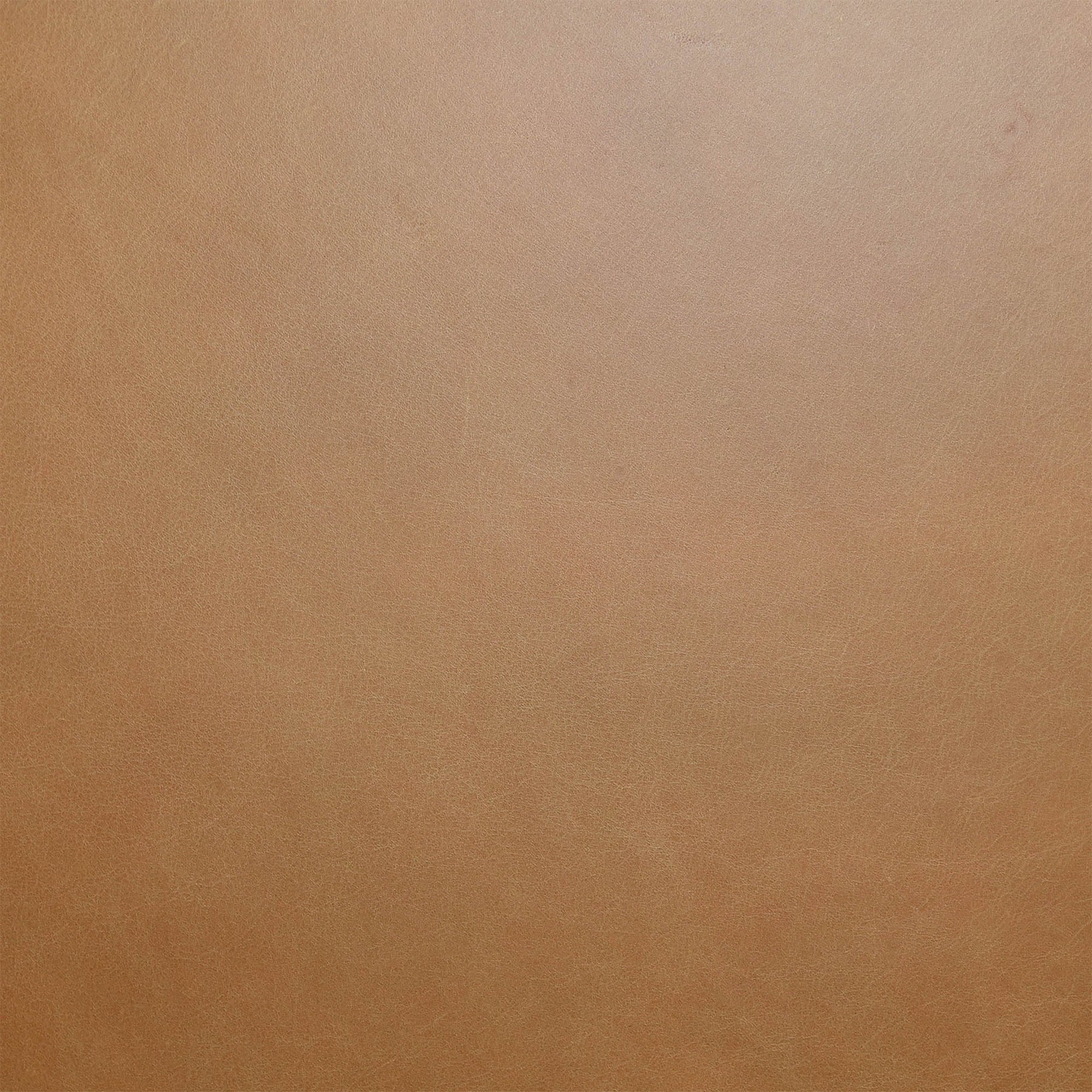 Dakota Dining Chair - stylish chairs for any table | Image 11 | InSTYLE Home & Rugs