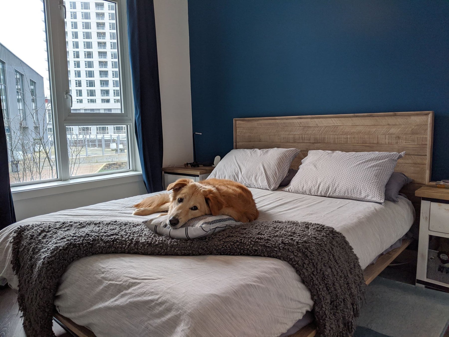 Gia Queen Bed - comfortable bed for restful sleep | Image 18 | InSTYLE Home & Rugs