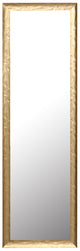 (19.5X63.5 Brushed Gold Mirror(Plain) 1Pack