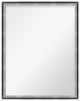 Brushed Silver Mirror Dbl Frame 36X46