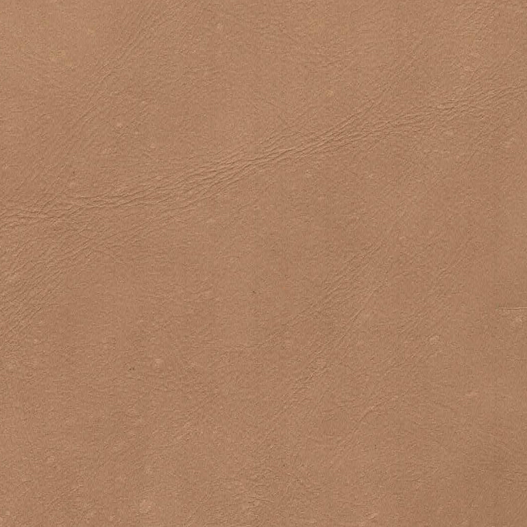 Milo Dining Chair - stylish chairs for any table | Image 4 | InSTYLE Home & Rugs