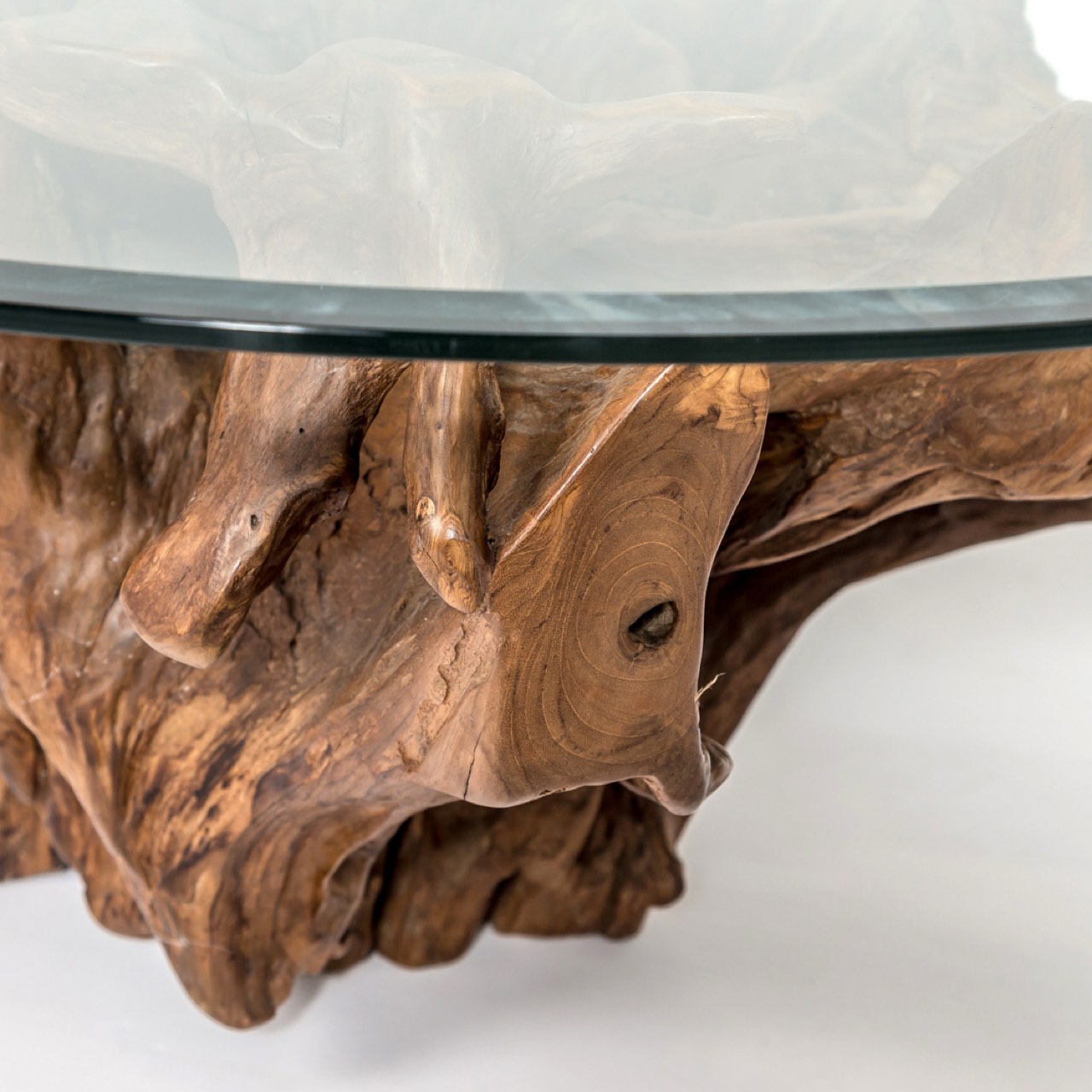 Natura Round Root Coffee Table - stylish tables for living rooms | Image 14 | InSTYLE Home & Rugs