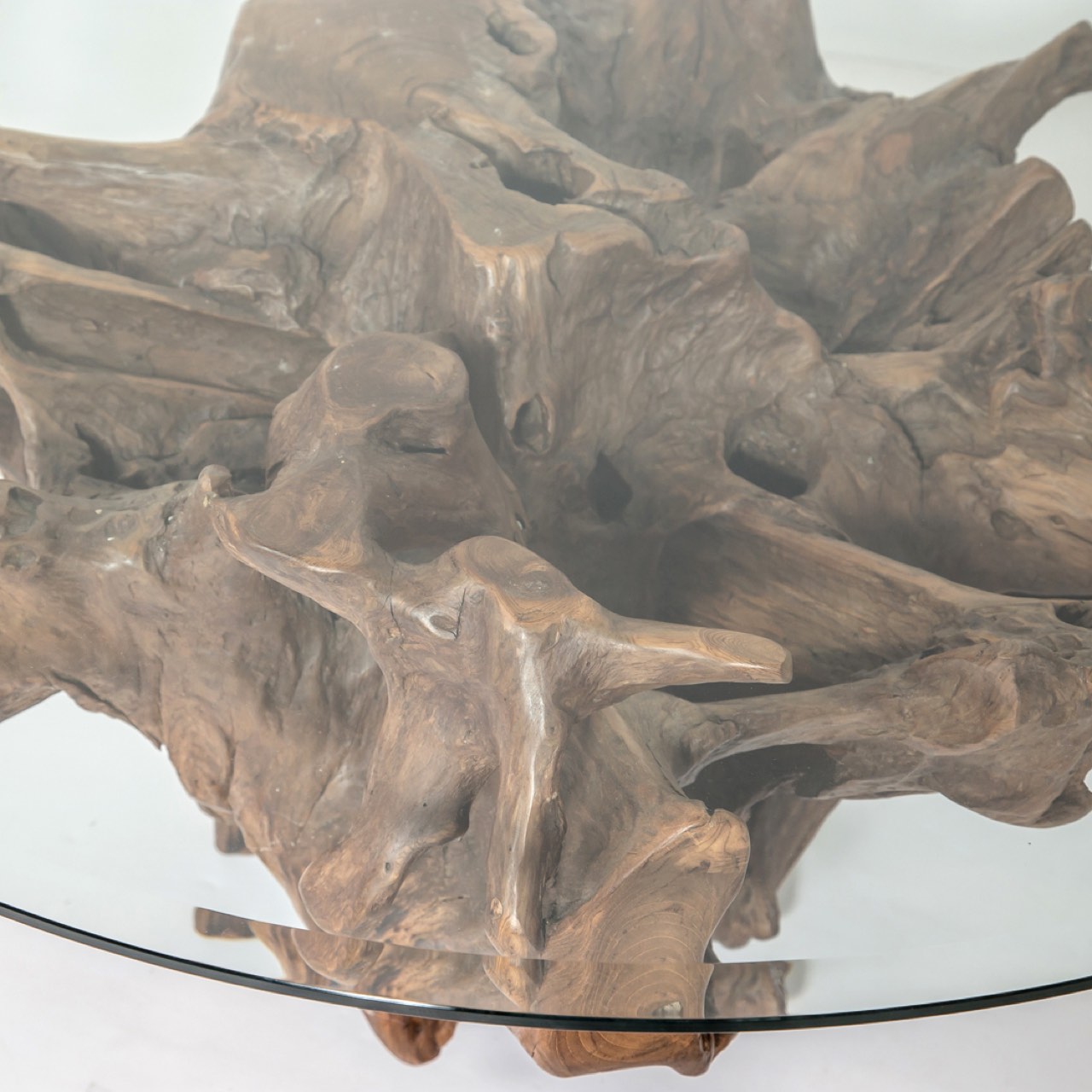 Natura Round Root Coffee Table - stylish tables for living rooms | Image 12 | InSTYLE Home & Rugs
