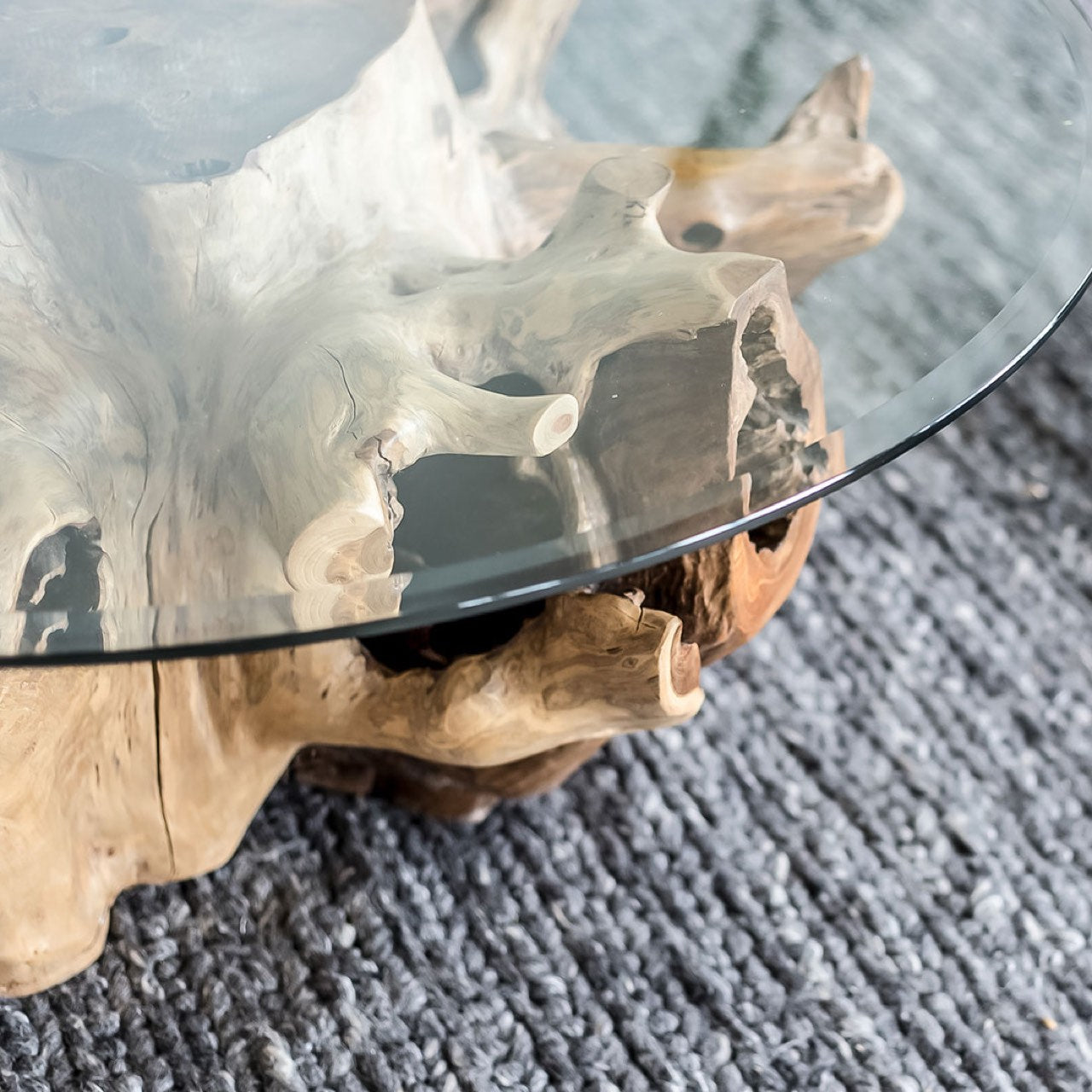 Natura Round Root Coffee Table - stylish tables for living rooms | Image 10 | InSTYLE Home & Rugs