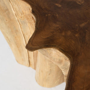 Natura Anise Coffee Table - modern design for any room | Image 8 | InSTYLE Home & Rugs