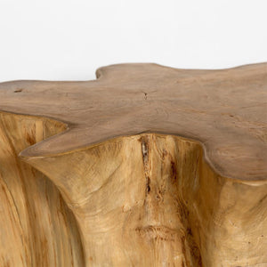 Natura Anise Coffee Table - modern design for any room | Image 9 | InSTYLE Home & Rugs