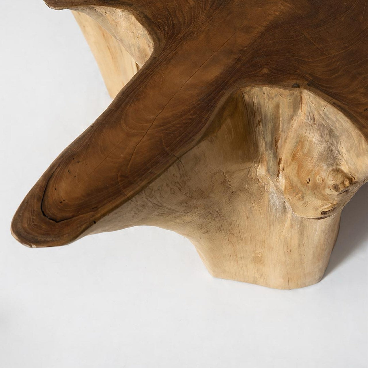 Natura Anise Coffee Table - modern design for any room | Image 10 | InSTYLE Home & Rugs