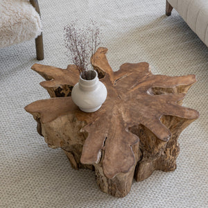 Natura Anise Coffee Table - modern design for any room | Image 6 | InSTYLE Home & Rugs