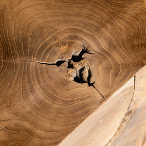 Natura Flow Square Coffee Table Bleached — Solid Teak Root - bleached square teak-root coffee table, each piece unique | Image 5 | InSTYLE Home & Rugs