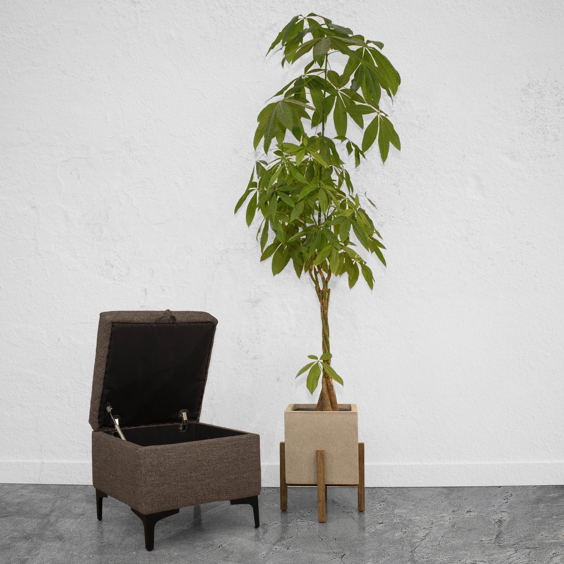 Reece Storage Ottoman - chic ottoman for living rooms | Image 4 | InSTYLE Home & Rugs