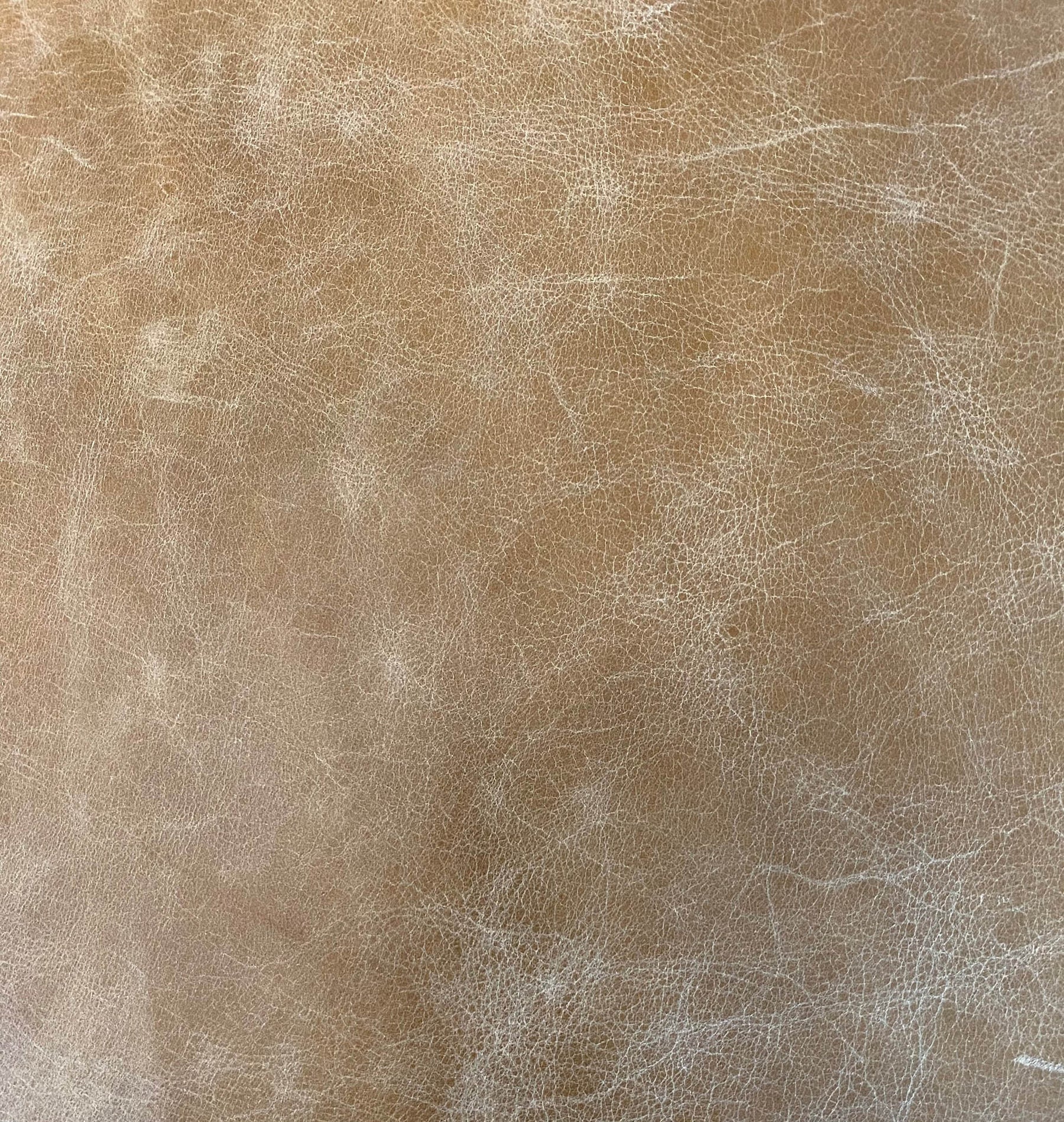 Bowie Stool - compact and stylish design | Image 9 | InSTYLE Home & Rugs