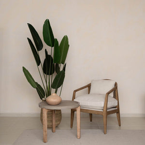 Rosa Club Chair - variety of styles from classic to contemporary | Image 9 | InSTYLE Home & Rugs